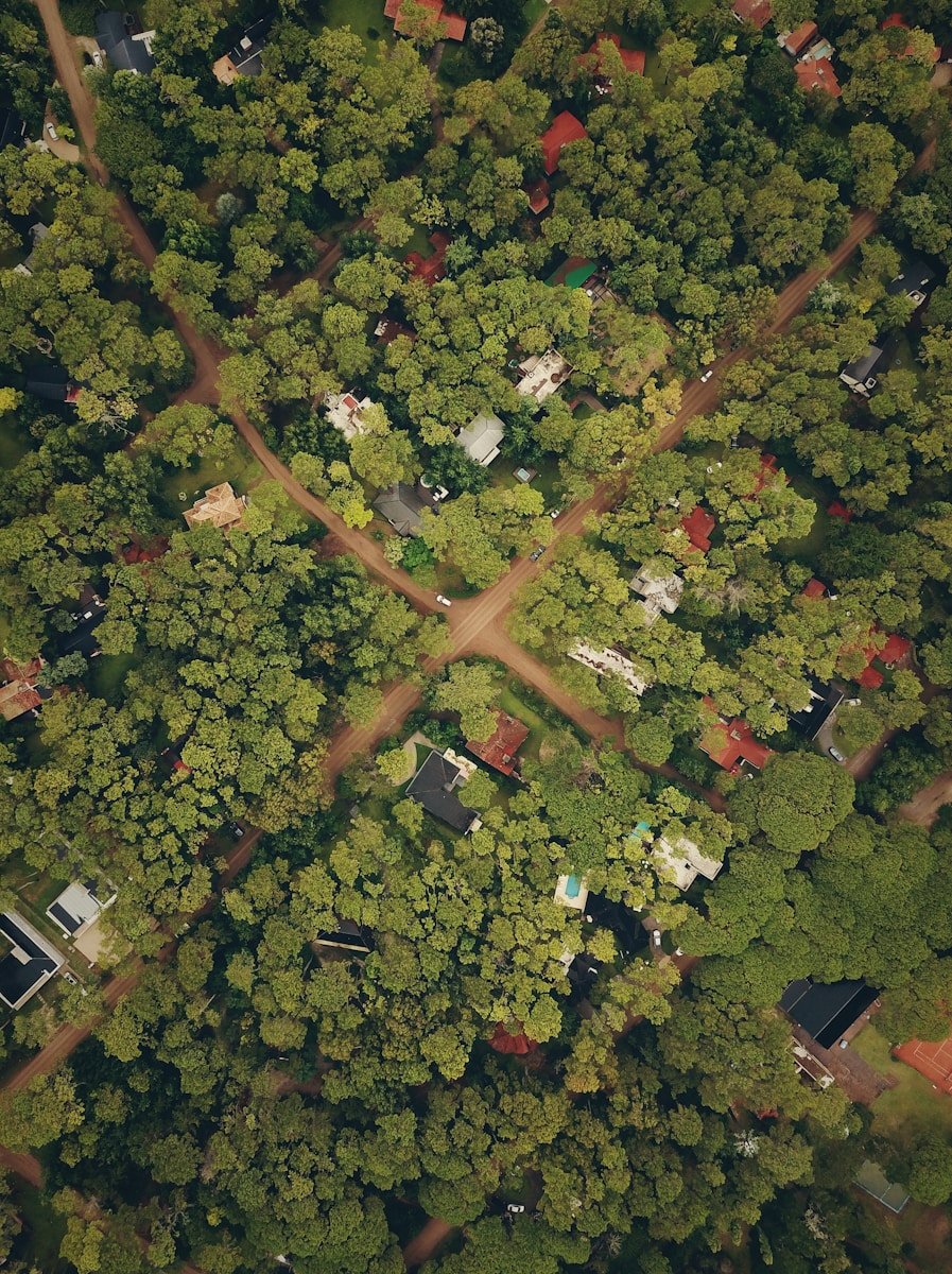 Home aerial view photography of village during daytime